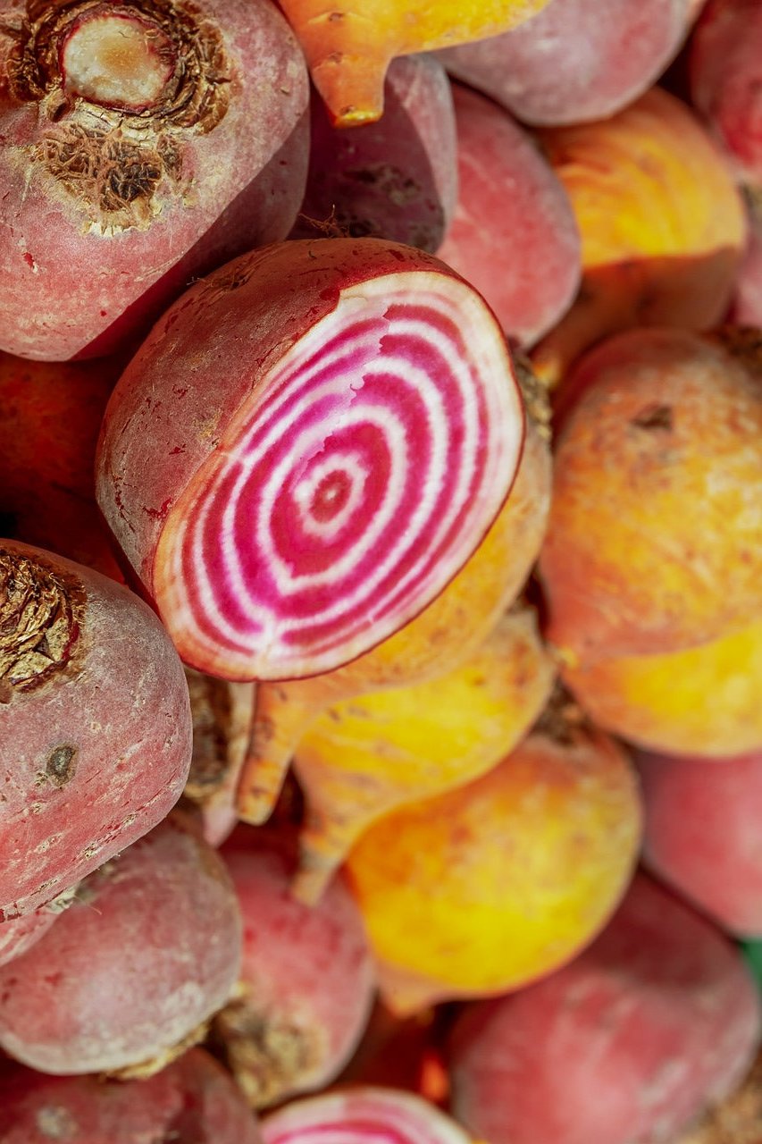Chioggia Beet