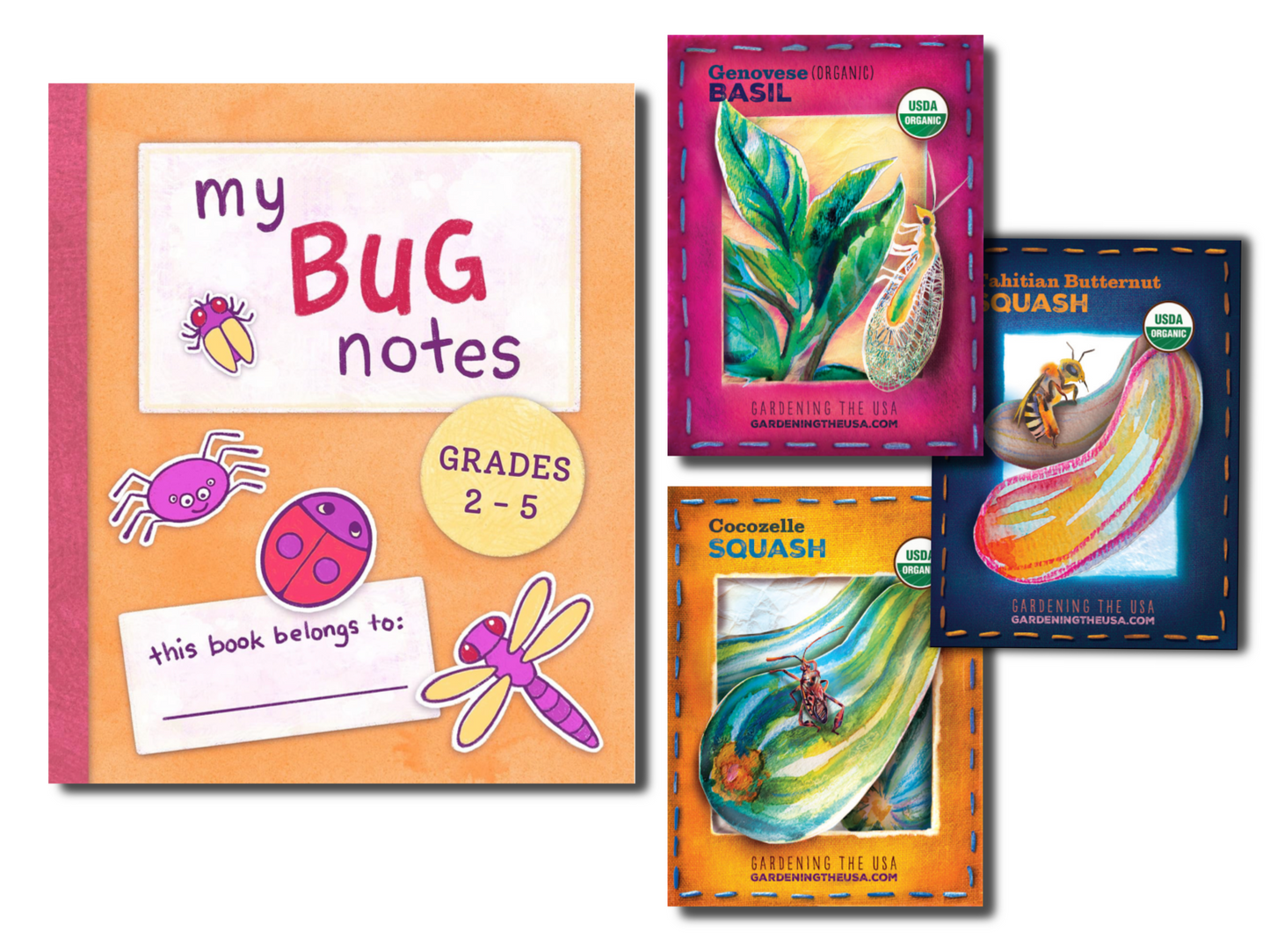 The Insect Collection 2
