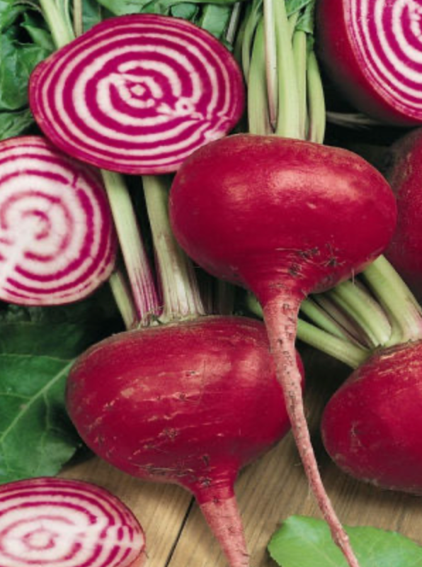 Chioggia Beet