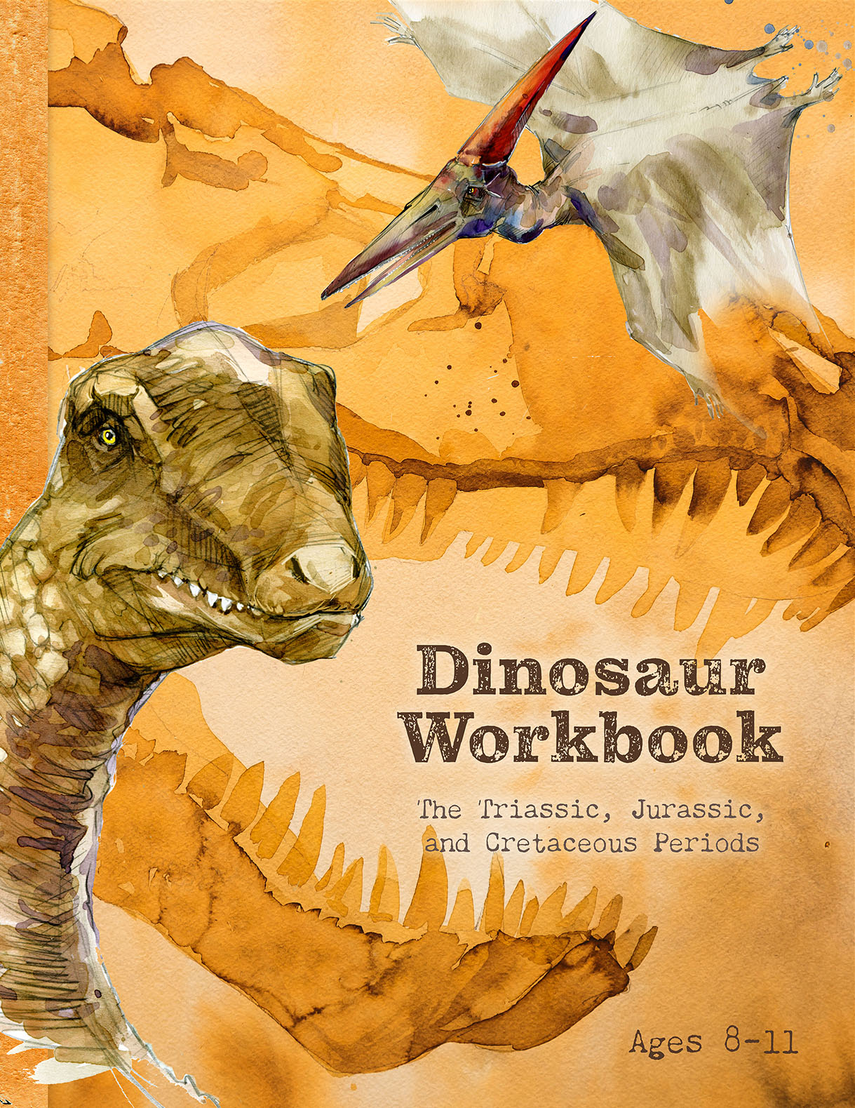 Dinosaur Workbook, The Triassic, Jurassic, and Cretaceous Periods -Ages 8-11