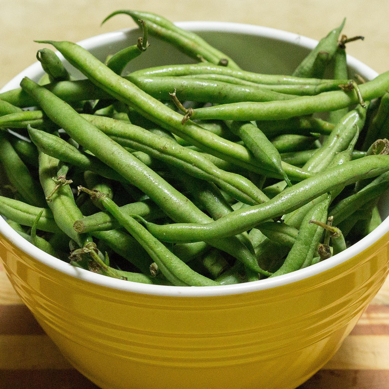 Bean - Bountiful