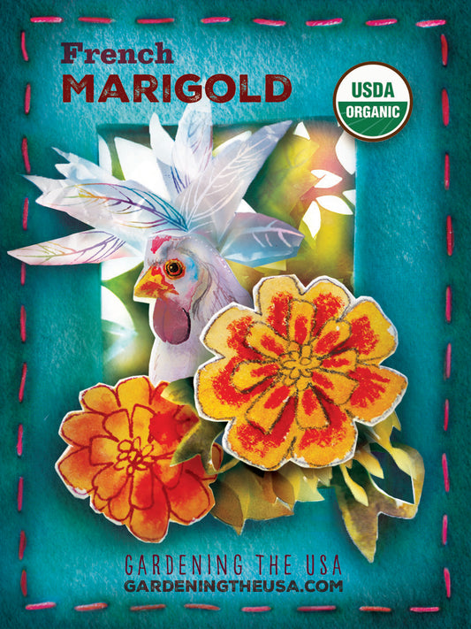 The Magical Marigold and Those Crazy Chickens