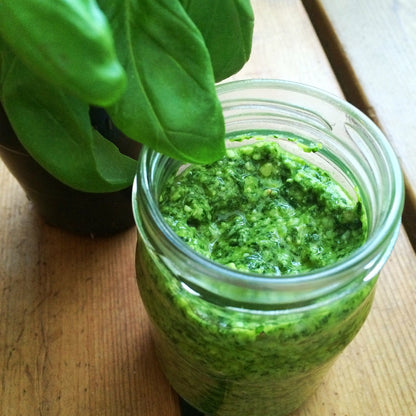 Herb - Basil, Genovese
