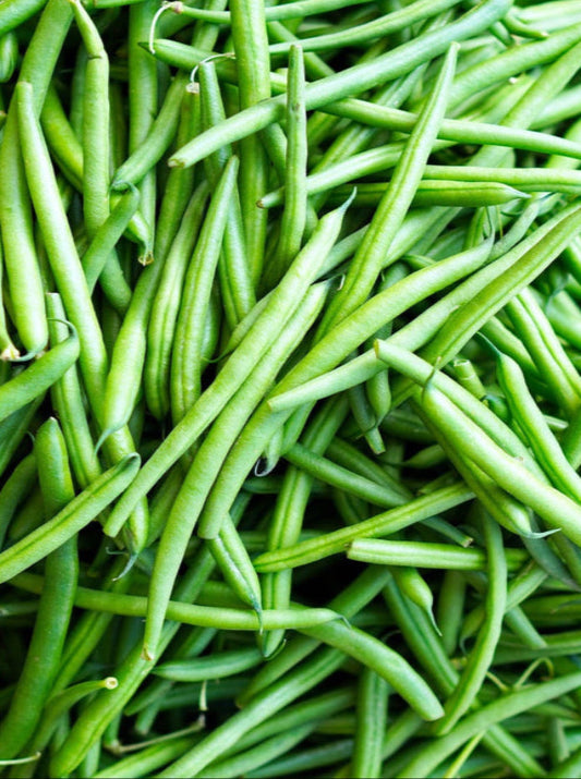 Bean - Bountiful