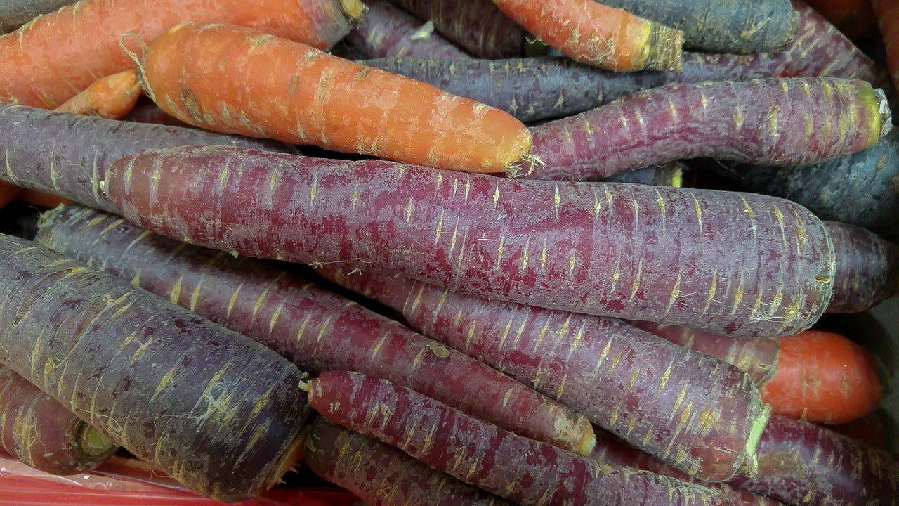 Carrot, Cosmic Purple