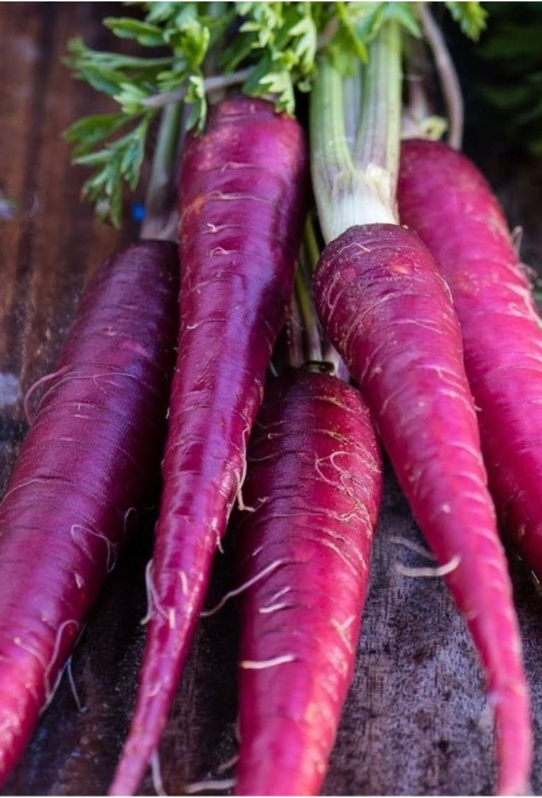 Carrot, Cosmic Purple