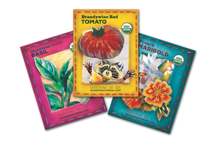 The Companion Planting Set 1, Tomato, Marigold, Basil