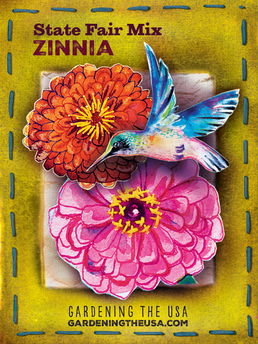 Zinnia - State Fair Mix