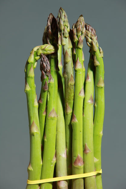 Asparagus - Mary Washington