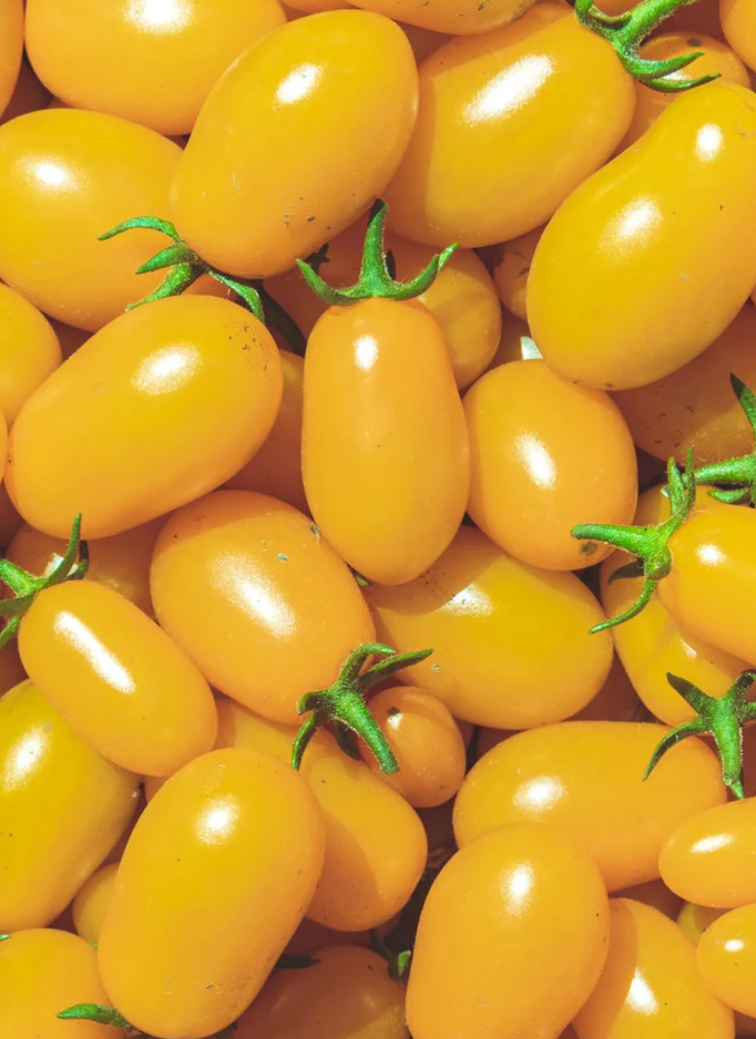 Tomato - Plum Lemon