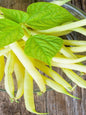 Bean - Pencil Pod Golden Wax
