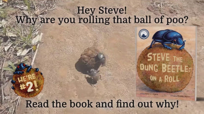 Steve The Dung Beetle On A Roll